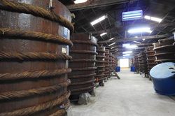 Nghề làm nước mắm ở Phú Quốc trở thành di sản văn hóa phi vật thể quốc gia