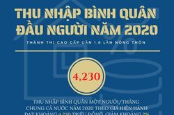 Thu nhập bình quân đầu người/tháng năm 2020 đạt 4,23 triệu đồng