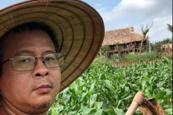 Thầy giáo dạy online, bán ruộng ngô để ủng hộ Bắc Giang chống dịch