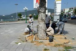 Công viên biển Xuân Diệu mới đưa vào sử dụng đã hư hỏng