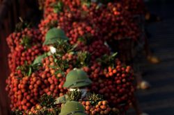 Một nghệ sĩ nhiếp ảnh từ Đồng Nai tự nguyện ra 'chia lửa' cùng tâm dịch Bắc Giang
