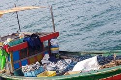 Đi mò cua bắt ốc, 3 ngư dân bất ngờ phát hiện 'kho báu' dưới đáy biển