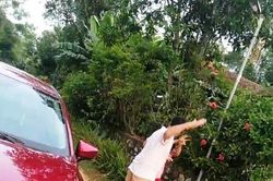 Vụ bám trên nắp ca-pô đánh ghen: Công an triệu tập 2 vợ chồng