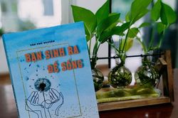 Bạn sinh ra để sống