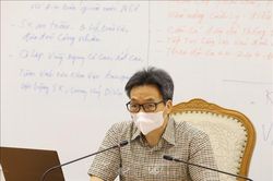 Phó Thủ tướng Vũ Đức Đam giao ban trực tuyến với lãnh đạo TP Hồ Chí Minh