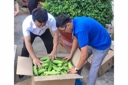 Gia Lai: 3 tấn rau củ quả hỗ trợ người dân Đồng Nai