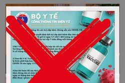 Phát hiện trang web giả mạo cổng thông tin điện tử Bộ Y tế