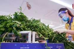 'Siêu thị mini 0 đồng' thứ 3 tại Hà Nội đi vào hoạt động