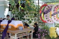 Một bé gái bị ong vò vẽ đốt tử vong ở Thừa Thiên-Huế