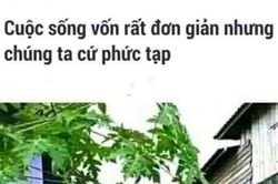 Mẹ đẻ. Mẹ chồng