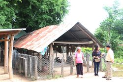 Gia Lai: Hơn 400 mô hình phát triển kinh tế trong đồng bào dân tộc thiểu số