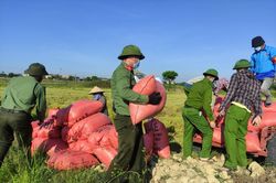 Xúc động đoàn viên đi chợ thay, công an gặt lúa giúp dân vùng tâm dịch Hà Tĩnh