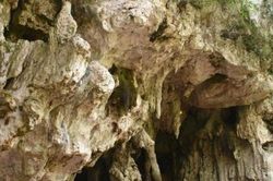 Bộ xương hơn 7.000 năm ở Indonesia hé lộ tộc người hoàn toàn mới