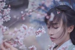 Lý do 'tiên nữ đồng quê' Lý Tử Thất ngừng đăng video