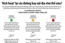 Kích hoạt lại các đường bay nội địa như thế nào?