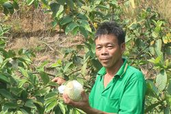 Agribank Chư Păh đầu tư vốn cho kinh tế trang trại