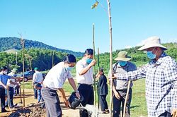 Trồng cây 'Đời đời nhớ ơn Bác Hồ' tại huyện Kbang