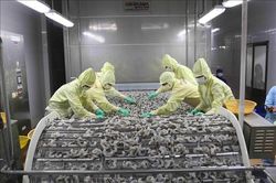 Chủ động thiết lập chuỗi cung ứng các sản phẩm nông nghiệp