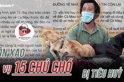 Xôn xao vụ 15 chú chó của hai vợ chồng ở Cà Mau bị thiêu hủy