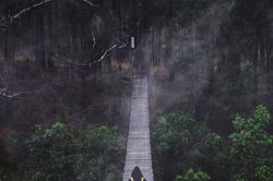 Cầu treo nguy hiểm nhất Đà Lạt có view cực chill không dành cho người yếu tim
