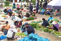 Giá rau xanh tăng mạnh