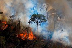 Thắng lợi đầu tiên ở hội nghị COP26