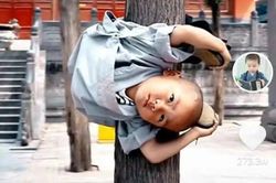 Tiểu hòa thượng Thiếu Lâm Tự gây chú ý