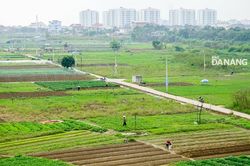 Tháo gỡ 'nút thắt' cho vay từ Quỹ hỗ trợ phát triển hợp tác xã