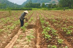 Lan tỏa các phong trào thi đua của phụ nữ