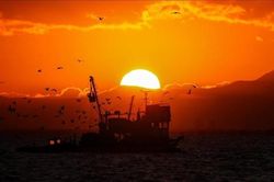 Tranh chấp về đánh bắt cá Anh-Pháp ngày càng đi vào bế tắc