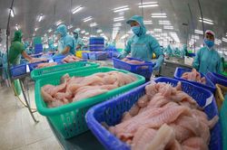 Doanh nghiệp phải chuẩn bị hành trang tốt để tận dụng EVFTA