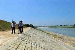 Quản lý, sử dụng bãi sông tuân thủ quy định của pháp luật về đê điều