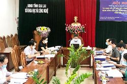Gia Lai: Nghiệm thu đề tài tái canh cây hồ tiêu trên đất nhiễm bệnh