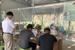 Ngày 3/11: 655 mẫu xét nghiệm test nhanh tại các chốt kiểm dịch âm tính với SARS-CoV-2