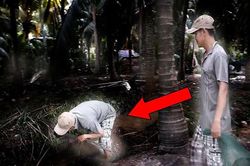 Nghe tiếng vọng từ trong rừng dừa, hai người đàn ông vào đó kiểm tra và kết quả khó tin