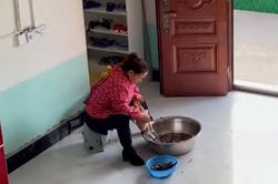 Đang vặt lông gà thì con dâu tương lai tới chơi, hành động 'quá đáng' của bà mẹ khiến dân tình bật cười