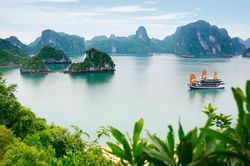 Du khách đến Việt Nam phải có bảo hiểm được chi trả điều trị COVID-19 tối thiểu 50.000 USD