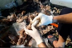 Lô ma túy 300 tỷ đồng chuẩn bị 'xuất ngoại' được phát hiện như thế nào?