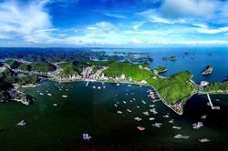 Cát Bà: Cung đường hoa đẹp nao lòng khi vào Thu