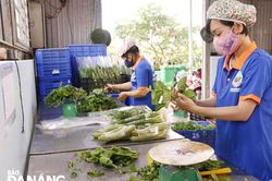 Nâng cao nhận thức về truy xuất nguồn gốc nông sản