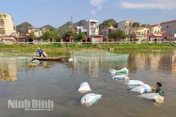 Thanh niên xã Trường Yên khát khao làm giàu