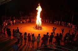 Phần Lan: Thu giữ thủ phạm chính gây bệnh về hô hấp ở củi lửa