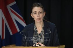 New Zealand sẵn sàng cho Tuần lễ Cấp cao APEC 2021