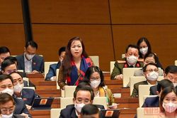 Kiên trì chính sách khoan sức dân, nuôi dưỡng nguồn thu