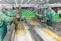 Cảnh giác với những cái bẫy trong quan hệ thương mại quốc tế