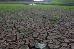 1,5°C và 2°C trong mục tiêu khí hậu khác nhau như thế nào?