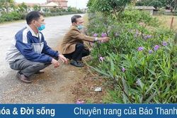 Hoằng Hóa: Cựu chiến binh giúp nhau giảm nghèo, tích cực tham gia các hoạt động xã hội