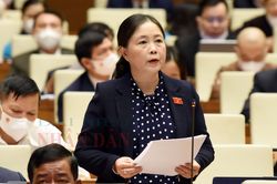 Bổ sung chính sách hỗ trợ đặc thù cho vùng đồng bào dân tộc thiểu số