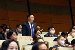 Mang nguyện vọng của cử tri vào nghị trường kỳ họp