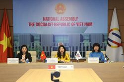 Đoàn đại biểu Quốc hội Việt Nam dự phiên thảo luận trực tuyến về các dự thảo Nghị quyết Hội nghị Nữ nghị sĩ APPF-29